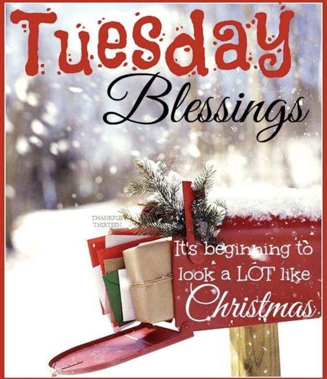 Tuesday Christmas, Tuesday Greetings, Good Morning Christmas, Tuesday Blessings, Good Morning My Friend, Good Morning Tuesday, Christmas Week, Enjoy The Day, Christmas Scenery