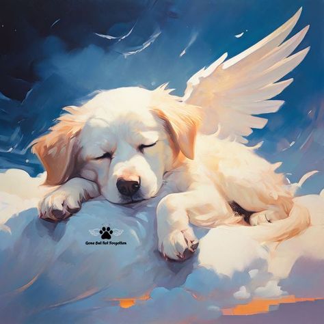 Angel Dog Art, Dog Sketching, Pet Memorial Ideas Dogs, Gone But Not Forgotten, Dog Angel, Shih Poo, Dog Heaven, Pet Remembrance, Dog Sketch