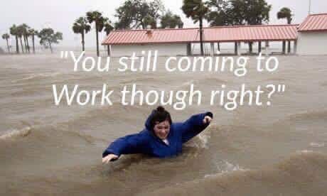 My boss even though theres flooding in Houston... Flood Meme, Texas Humor, Texas Strong, Weather Theme, Minions Quotes, Belly Laughs, Work Memes, Greatest Songs, Work Humor