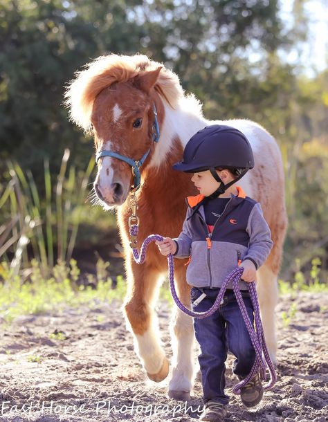 equine photography, horse photography, pony, Shetland pony, children and ponies Pony Horse Cute, Shetland Pony Photography, Shetland Pony Riding, Shetty Pony, Pony Photography, Shetland Ponies, Cute Pony, Photography Horse, Mini Horses