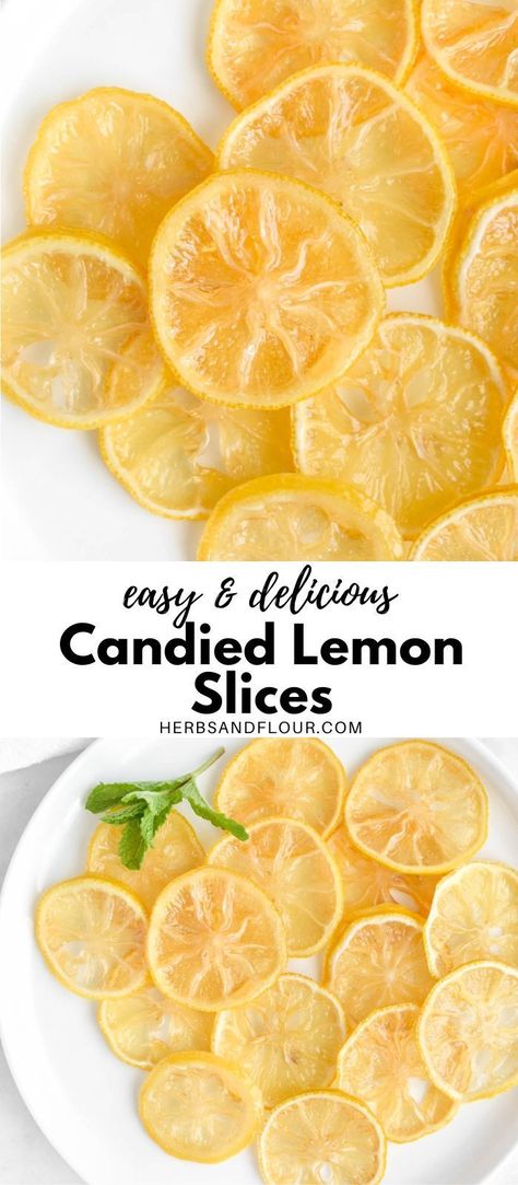 Hot Water With Lemon, Candied Lemon Slices, Lemon Water Health Benefits, Water With Lemon, Lemon Juice Benefits, Candied Lemon Peel, Hot Lemon Water, Lemon Health Benefits, Drinking Hot Water