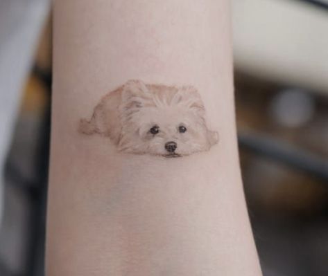 Westie Tattoo, Nas Hip Hop, Pet Portrait Tattoos, Small Infinity Tattoos, 30 Tattoo, Small Dog Tattoos, Simple Arm Tattoos, Portrait Tattoos, Timeless Tattoo