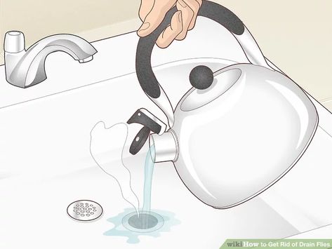 4 Ways to Get Rid of Drain Flies - wikiHow How To Get Rid Of Knats In The Sink, How To Get Rid Of Nats In The Drain, Fruit Fly Drain Cleaner, Fruit Flys How To Get Rid Of In Drain, Knats Killer Diy Drain, How To Get Rid Of Drain Flies In House, How To Get Rid Of Gnats In Sink Drain, How To Get Rid Of Drain Gnats, Drain Gnats Get Rid Of