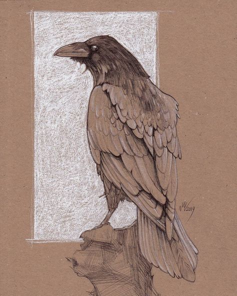 Crow Artwork, Crows Drawing, Drawing Study, Raven Bird, A Crow, Crow Art, Raven Art, New Retro Wave, Desenho Tattoo