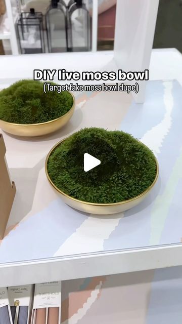 Samantha Hermann on Instagram: "Live moss > fake moss ⬇️ This is such a simple but stunning piece to add to your houseplant collection! It’s easy to care for too, just mist daily (or every other day or so depending on your humidity) and it’ll be happy! A bright room is perfect for this moss and it doesn’t want to be in harsh direct sun. I bought my moss from TN Nursery because I wanted to create a moss terrarium. In time the pieces I took from the greenhouse will fill back in. Is this something you’d like to have in your home? Any other questions? Leave them in the comments! Make sure to save & share if you love this idea 🫶🏻" Moss Terrarium Ideas, Fake Moss, Houseplant Collection, Moss Tree, Bright Room, Fairy Stuff, Moss Terrarium, Bright Rooms, The Greenhouse