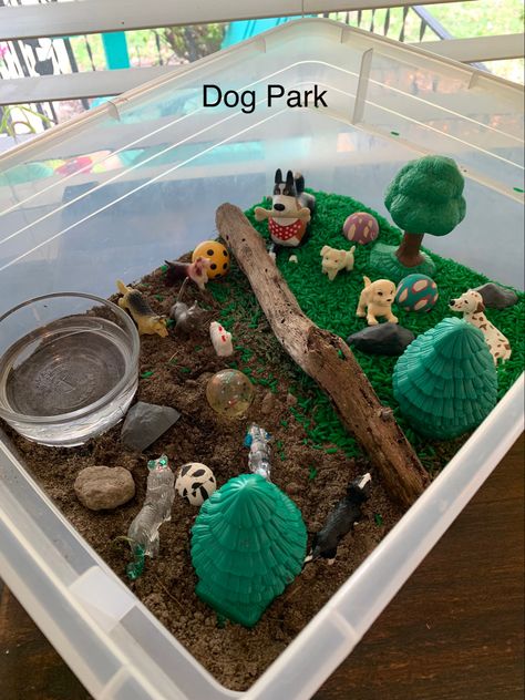 Dog Theme Sensory Bin, Cats And Dogs Preschool Theme, Dog Sensory Bin, Dog Activities For Toddlers, Pet Sensory Bin Preschool, Cat Sensory Bin, Pet Sensory Bin, Provocation Ideas, Preschool Pets