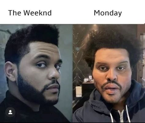 The Weeknd memes Mzansi Memes, Weekend Meme, The Weeknd Memes, Abel Makkonen, Instagram Funny Videos, Funny Profile, Funny Profile Pictures, Instagram Funny, The Weeknd