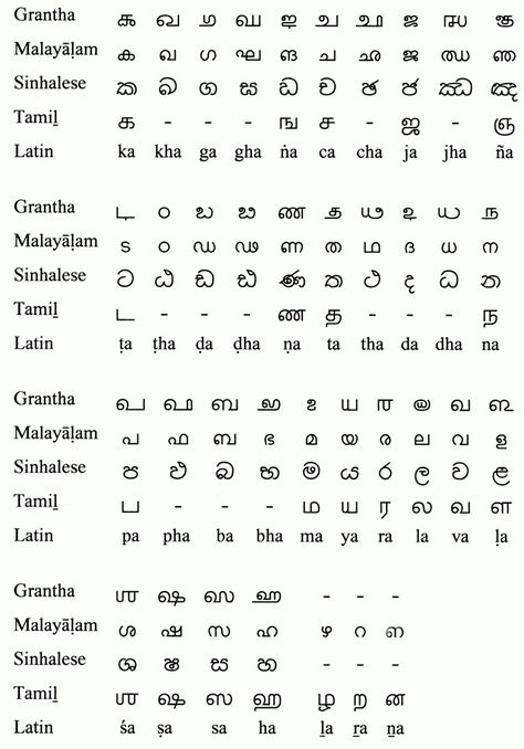 Indo-European Vowels And Consonants Chart, Tamil Letters Chart, Exercise For Face Glow, Consonants Chart, Tamil Alphabet Chart, Tamil Alphabets, Tamil Letters, Vowel Chart, Learn To Speak French