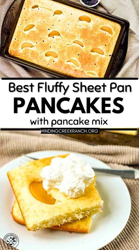 Discover how to make the best fluffy sheet pan pancakes using your favorite pancake mix. This easy recipe delivers perfectly cooked, convenient pancakes every time, ideal for a quick and delicious breakfast or brunch. Making Pancakes For A Large Group, Donuts From Pancake Mix How To Make, Pancakes In A Pan, Baking With Pancake Mix Recipes, Recipes Using Pancake Mix Breakfast, Pancake In Oven, Oven Pancakes Easy, Pancake Cake Recipe, Pancake Mix Casserole