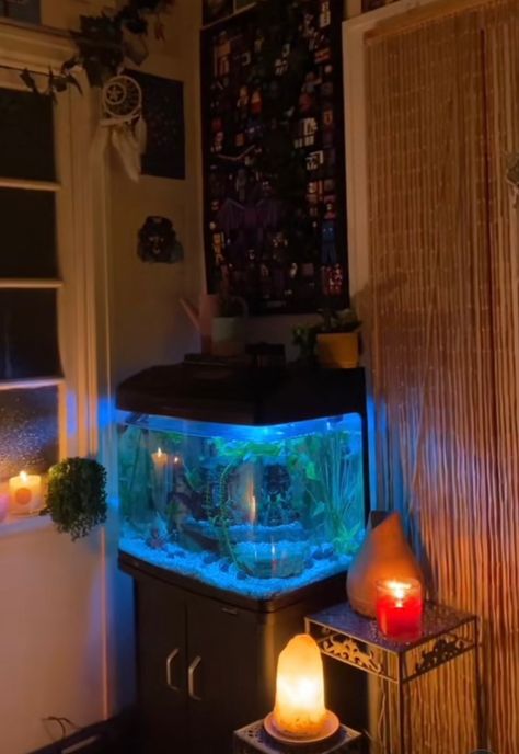 Ghibli Fish Tank, Jellyfish Tank Aquarium Home, Aquarium Bedroom Aesthetic, Bedroom With Fish Tank, Fish Tank In Bedroom, Apartment Aquarium, Pretty Fish Tank, Aesthetic Fish Tank, Fish Tank Aesthetic