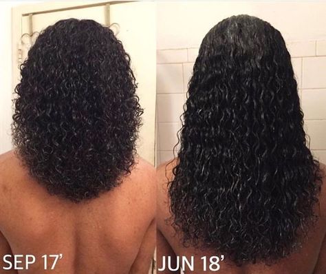 Curly Video, Texlaxed Hair Growth, Relaxed Curls, Texlaxed Hair, Blond Rose, Hair Growth Journey, Make Hair Grow Faster, Longer Hair Growth, Big Afro