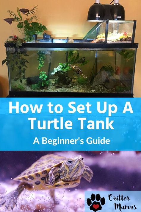 Aquarium Design For Turtles, 60 Gallon Turtle Tank Ideas, Turtle Tanks Ideas Diy, Indoor Turtle Tank, Turtle Aquarium Design, Bioactive Turtle Tank, Painter Turtle Habitat, Large Turtle Tank Ideas, Half Water Half Land Turtle Tank