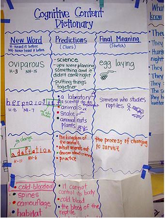 Cognitive Content Dictionary Eld Strategies, Success Criteria Anchor Charts, Benchmark Advance First Grade Anchor Charts, Run On Sentences Anchor Chart, Learning Intentions And Success Criteria Kindergarten, Internal And External Character Traits Anchor Chart, Glad Strategies, Information Writing, Ell Strategies