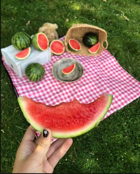 Watermelon Photo Shoot, Watermelon Photo, Watermelon Picnic, Coffee Pictures, Summer Watermelon, Food Is Fuel, Shooting Photo, Future Life, Melon