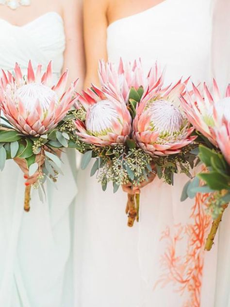 King Protea Bridal Bouquets That Are Crazy Striking Protea Bouquet Wedding, Protea Wedding, Protea Bouquet, Wedding Flower Guide, Eucalyptus Bouquet, King Protea, Tafel Decor, Wedding Flowers Summer, Fall Wedding Bouquets