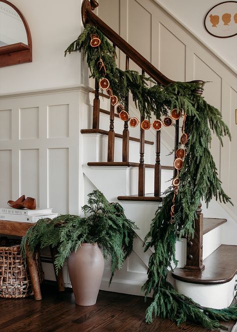 Elevate your holiday decor for 2023 with the Afloral Norfolk collection. Accent with fragrant fresh pines and juniper stems. Shop this look at Afloral.com. Afloral Norfolk, Norfolk Pine, Holiday Greenery, Holiday Arrangement, Pine Garland, Holiday Tablescapes, Greenery Garland, Floral Branch, Christmas Greenery