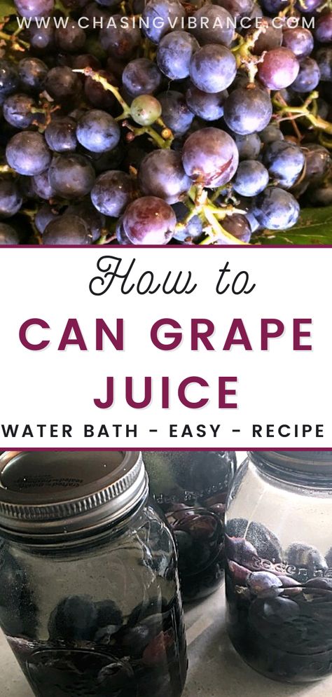 Concord Grape Juice Canning, How To Make Homemade Grape Juice, Canned Grape Juice Recipe, How To Can Concord Grape Juice, How To Can Homemade Grape Juice, Homemade Grape Juice Easy, Canned Grape Juice, How To Make Grape Juice From Grapes, Grape Juice Canning Recipe