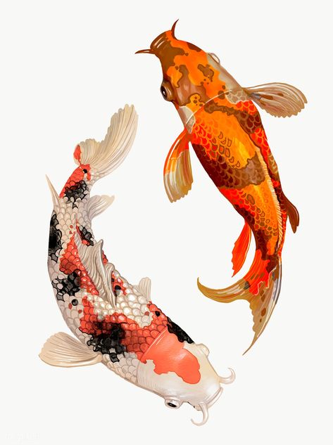 Karp Koi, Koi Fish Swimming, Koi Painting, Koi Fish Drawing, Japanese Koi Fish, Fish Artwork, Koi Art, Japanese Fish, Koi Fish Tattoo