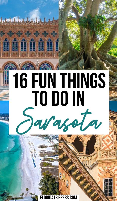 16 Fun Things To Do In Sarasota | things to do in sarasota florida | things to do in sarasota florida activities | things to do sarasota florida | things to do near sarasota florida | fun things to do in sarasota florida | sarasota florida | sarasota florida things to do in | sarasota fl | what to do in sarasota florida | #sarasotaflorida #floridatravel Things To Do Siesta Key Florida, Things To Do Near Sarasota Florida, Things To Do In Venice Florida, Things To Do Sarasota Florida, Things To Do In Bradenton Florida, What To Do In Sarasota Florida, Sarasota Florida Outfit, Things To Do In Sarasota Florida, Downtown Sarasota Florida