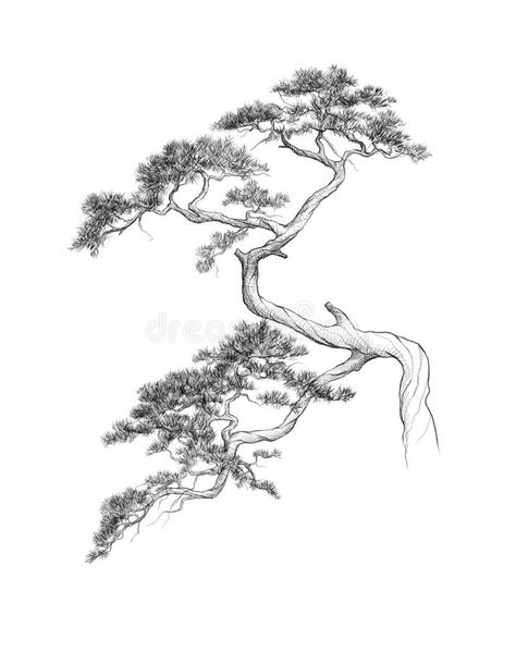 Diagram Poster, Tree Tattoo Sketch, Chinese Tree Tattoo, Chinese Tree Drawing, Bonsai Design, Korean Tree Tattoo, Asian Tree Tattoo, Japanese Tree Art, Japanese Tree Drawing