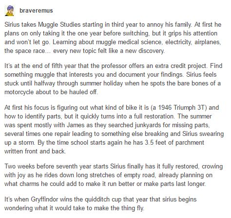 Sirius Black Sirius Black Motorcycle, Sirius Black Kin, Sirius Black Headcanon, Sirius Black Kinnie, Muggle Studies, Flying Motorcycle, Headcanon Harry Potter, Harry Potter Pin, Harry Potter Headcannons