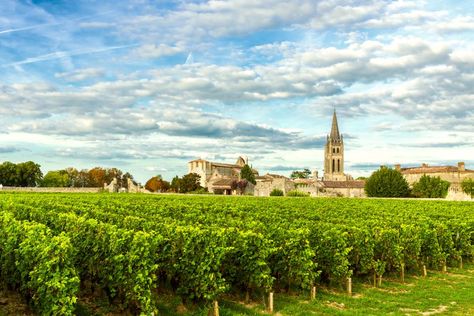 Bordeaux Vineyards, French Wine Regions, Regions Of France, Cruise Europe, Tours France, St Emilion, Bordeaux Wine, Cap Ferret, French Wine