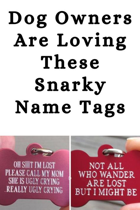 Funny Animal Names, Funny Dog Names, Funny Dog Tags, Cute Names For Dogs, Dog Name Tags, Cat Tags, Dog Id Tags, Dog Signs, Cat Names