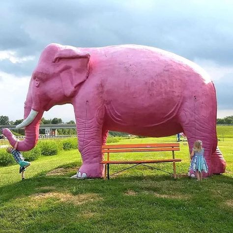 Wisconsin Vacation, Wisconsin Travel, Wisconsin Dells, Madison Wisconsin, Pink Elephant, American Cities, Travel Inspo, America Travel, Us Travel