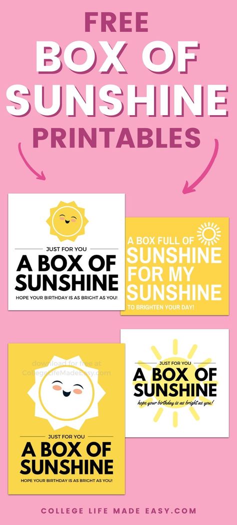 A Box Of Sunshine, Sunshine Care Package, Sunshine Box, Sunshine Printable, Birthday Care Packages, Creative Gift Ideas, Inexpensive Christmas Gifts, Box Of Sunshine, Sunshine Birthday