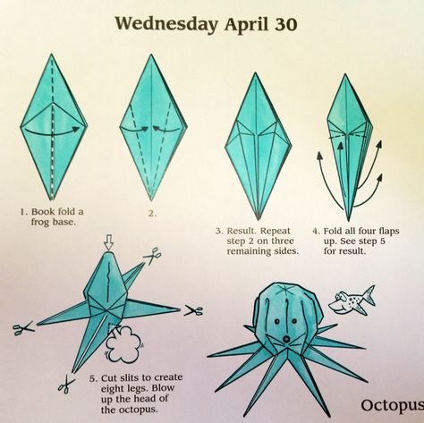 Origami octopus diagram Origami Sea Creatures, Origami Jellyfish, Origami Octopus, Paper Octopus, Sticky Note Origami, Origami Step By Step, Creative Origami, Origami Diagrams, Origami Dragon