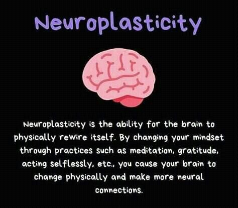 Neuroplasticity Exercises, Improve Brain Power, Brains Quote, Rewire Your Brain, Neural Connections, Brain Facts, Brain Anatomy, Mental Health Facts, Brain Exercise