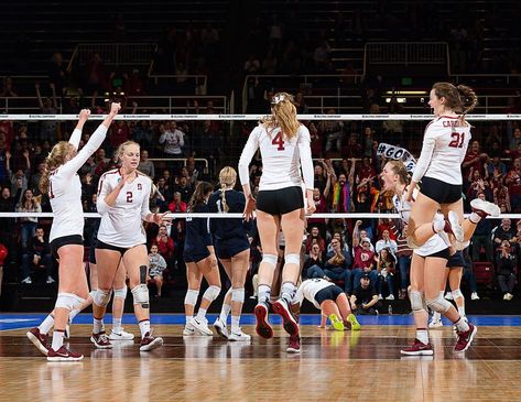 Stanford Volleyball, Volleyball Warm Ups, College Volleyball, Sports Quotes Basketball, Athletic Center, Usa Volleyball, Female Volleyball Players, Women's Volleyball, Volleyball Shorts