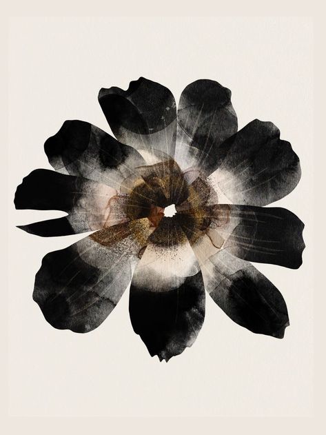 Watercolor Abstract Flowers, Black Wallpapers Aesthetic, Black Flowers Aesthetic, Flor Aesthetic, M Aesthetic, Black White Aesthetic, Aesthetic Paintings, Black And White Watercolor, Abstract Aesthetic