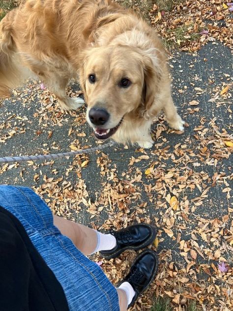 Pippa Fitz Amobi, Golden Retriever Girl, A Good Girls Guide, Good Girls Guide, Holly Jackson, As Good As Dead, Good Girls, Bad Blood, Girl Guides