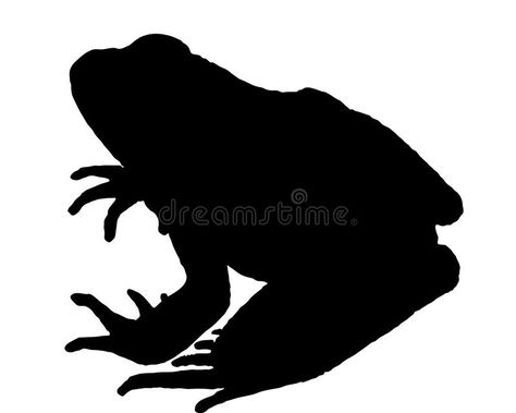 Frog Silhouette, Aquatic Animal, Green Tree Frog, Frog Frog, Frog Illustration, Salamanders, Colorful Illustration, Silhouette Illustration, Modern Witch