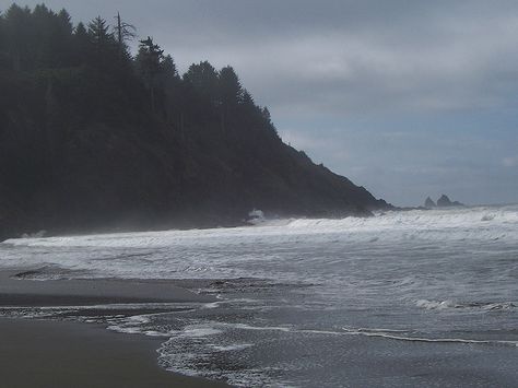 First Beach, WA La Push Beach Twilight, Wild Beach Aesthetic, La Push Aesthetic, Twilight La Push, La Push Washington, La Push Beach, Washington Beaches, Twilight Dr, Lucy White