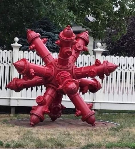 Things-Only-Get-Weirder Confusing Pictures, Image Meme, Fire Hydrants, Weird Funny, Pink Teddy Bear, Weird Images, Shape Puzzles, Weird Pictures, Weird Things