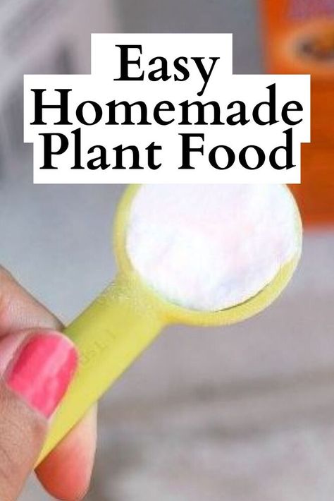 How To Make Plant Food At Home, Houseplant Food Diy, Diy Plant Food For Outdoor Flowers, Plants Fertilizer Homemade, Best Plant Food For House Plants, Diy Plant Food For Indoor Plants, Flower Fertilizer Homemade, Succulent Food Diy, Homemade Plant Fertilizer Recipe