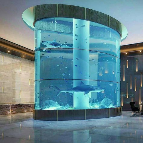 Luxury | Expensive Lifestyles on Instagram: “Amazing Shark Aquarium 😱 Tag a friend who needs to see this! ........................ Follow @turboluxuries for more lux! 📸: Unknown (DM…” Corolla Toyota, Interior Design Colleges, Home Decor Sites, Entrepreneurship Motivation, Interior Design School, Mansions Luxury, Home Decor Online, Elegant Home Decor, Interior Design Companies