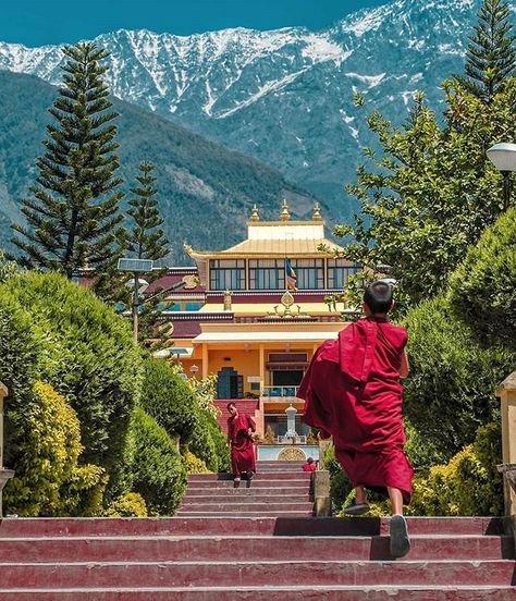 "Don't wait for someone to bring you flowers plant your own garden and decorate your own soul." . Gyuto Tantric Monastery Sidhbari Dharamshala | Himachal Pradesh . Photo By- @manish___sharma_ (Manish Sharma) #Follow . For Feature Hashtag Your Pictures/Videos With #InstaHimachal . Hills Are Vulnerable Say No To Plastic Snacks and Water Bottles. Save Himalayas Don't Litter on Mountains. Help Your Mother Nature Help Yourself . #Himachal #HimachalPradesh #LonelyPlanet #StoriesOfIndia #IndiaPhotoProj Dharamsala India, Dharamshala Himachal Pradesh, Say No To Plastic, Dharamsala, India Trip, Travel Route, Help Yourself, Nat Geo, Golden Book