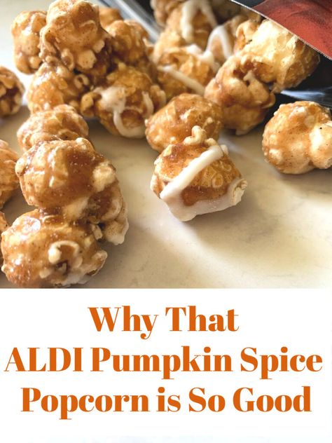 They did it again! The ALDI Pumpkin Spice Popcorn is in stores, and causing trouble. See why you need to add it to your cart today. Pumpkin Spice Popcorn, Cheesecake Popcorn, Pumpkin Popcorn, Carmel Cheesecake, Popcorn Ideas, Spice Cheesecake, Pumpkin Spice Treats, Spiced Popcorn, Pumpkin Spice Cheesecake