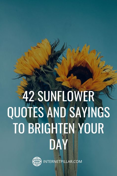 Sunflower Motivational Quotes, Sun Flower Quotes Inspirational, Sunflower Inspiration Quotes, Be A Sunflower In A Field Of Roses Quote, Sayings About Sunflowers, Brighten My Day Quotes, Sunflower Sayings Quote Short, Sunflowers Quotes Inspiration Life, Sunflowers Quotes Inspiration Beautiful