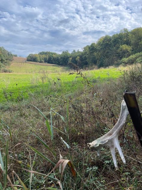 Prime Hunting property located in SW Wisconsin. The land has 120 +- of crops with the balance (305 acres) in woods, low land, ponds and creek bottom. Numerous trophy bucks harvested over the years and area know for Big Bucks. #hlrbo #hunting #hlrboleasing #hunters #landowners #deerhunting #wisconsin Find out more today on HLRBO! Hunting Property, Big Bucks, Deer Hunting, The Balance, Archery, The Land, Over The Years, Wisconsin, Places To Go