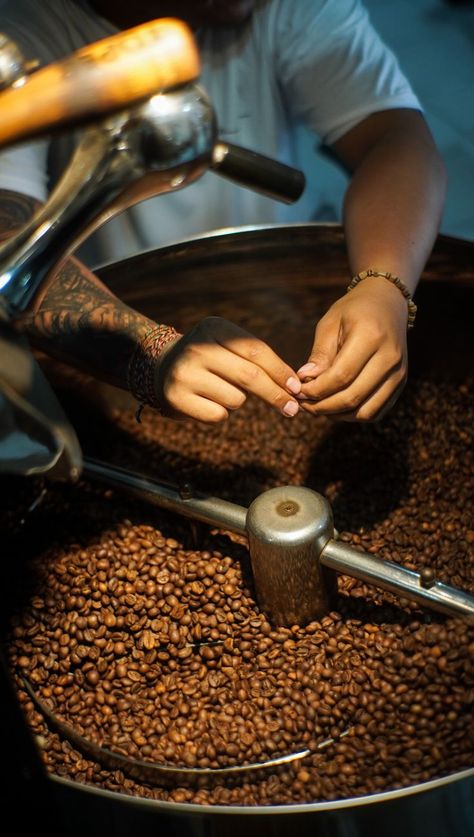 Coffee Roasting Room, Coffee Shoot, Coffee Roasting Process, Coffee Beans Photography, Coffee Factory, Coffee Process, Roasting Coffee, Photography Coffee, Brazilian Coffee