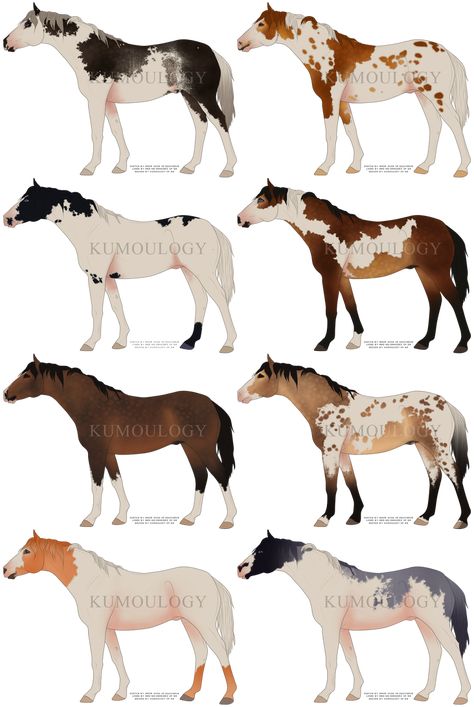 Sketch Horse, Breyer Custom, Horses Beautiful, Drawing Horse, Horse Animation, Horse Markings, Horse Coat Colors, Painting Step By Step, Painting Cute