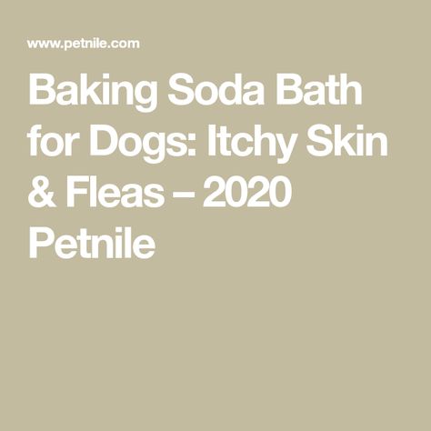 Natural Flea Bath For Dogs, Diy Flea Bath For Dogs, Flea Bath For Dogs, Yeast In Dogs, Flea Shampoo For Dogs, Dog Deodorizer, Coconut Oil Bath, Home Remedies For Fleas, Itchy Dog Skin