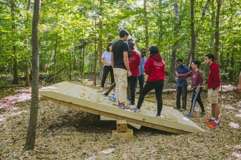 Advanced Team Building Initiatives - Low Ropes Course Low Ropes Course Ideas, Tree Obstacle Course, School Outdoor Design, Corporate Retreat Ideas, Low Ropes Course, Outdoor Play Structures, Challenge Course, Farm Plans, Team Building Games