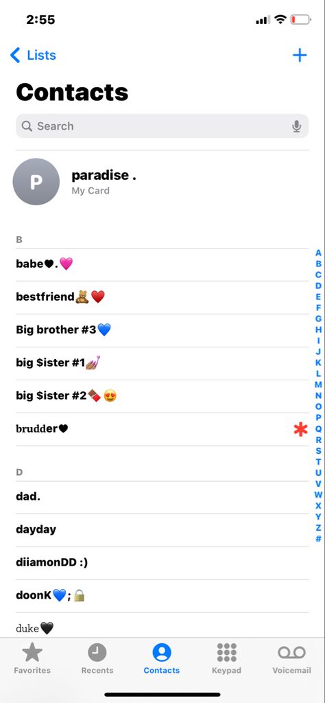 Iphone Contact Names Ideas, Names For Brother In Phone, Brother Contact Names Ideas, Contact Names For Brother, Finsta Names, Contacts Names, Contact Ideas, Funny Contact Names, Iphone Decor