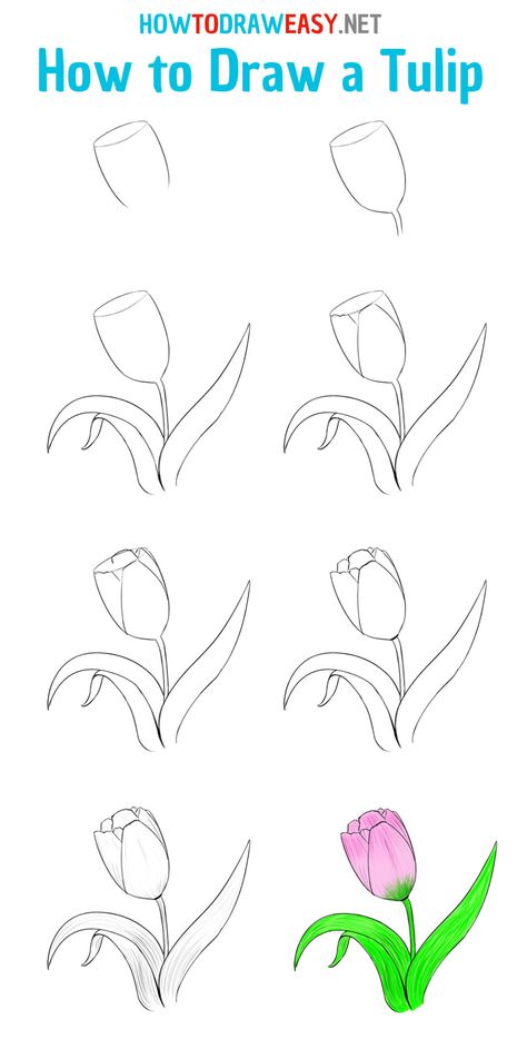 How to Draw a Tulip Step by Step #Tulip #Flower #EasyDrawing #Flowers #Tulips #Pink #Plants #Sketching #Sketch #DrawingTutorials #HowtoDraw #DrawingEasy #Rose Draw A Tulip, Tulip Flower Drawing, Tulip Drawing, Easy Flower Drawings, Flower Step By Step, Pencil Drawings For Beginners, Drawing Step By Step, Flower Drawing Tutorials, Watercolor Tulips