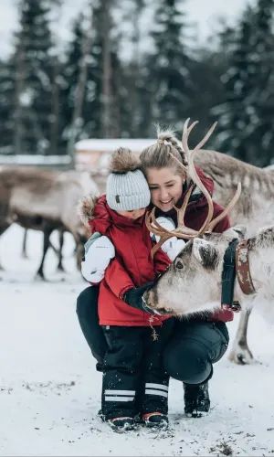 Lapland Christmas, Northern Lights Finland, Reindeer Feed, Reindeer Farm, Finland Summer, Northern Lights Photography, Treehouse Hotel, Farm Visit, Finland Travel